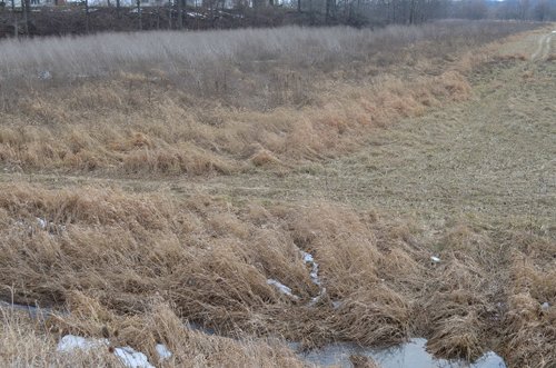 Property photo 9 - East Allen County Land Auction - 40 Acres in 2 Tracts